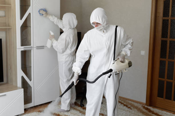 Mold Removal and Inspection in University Heights, IA