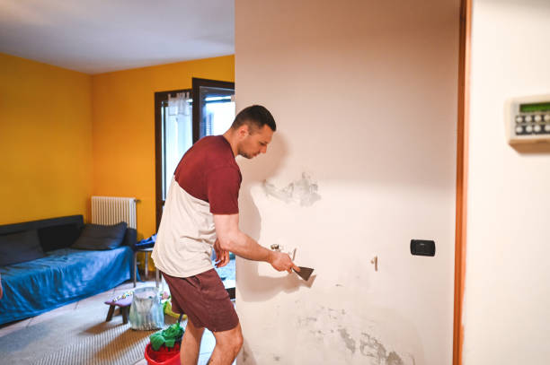 Best Black Mold Removal  in University Heights, IA